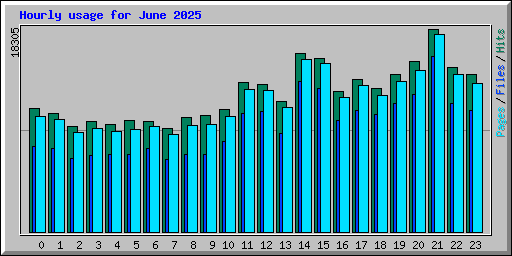 Hourly usage for June 2025