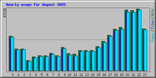 Hourly usage for August 2025