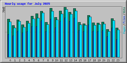 Hourly usage for July 2025